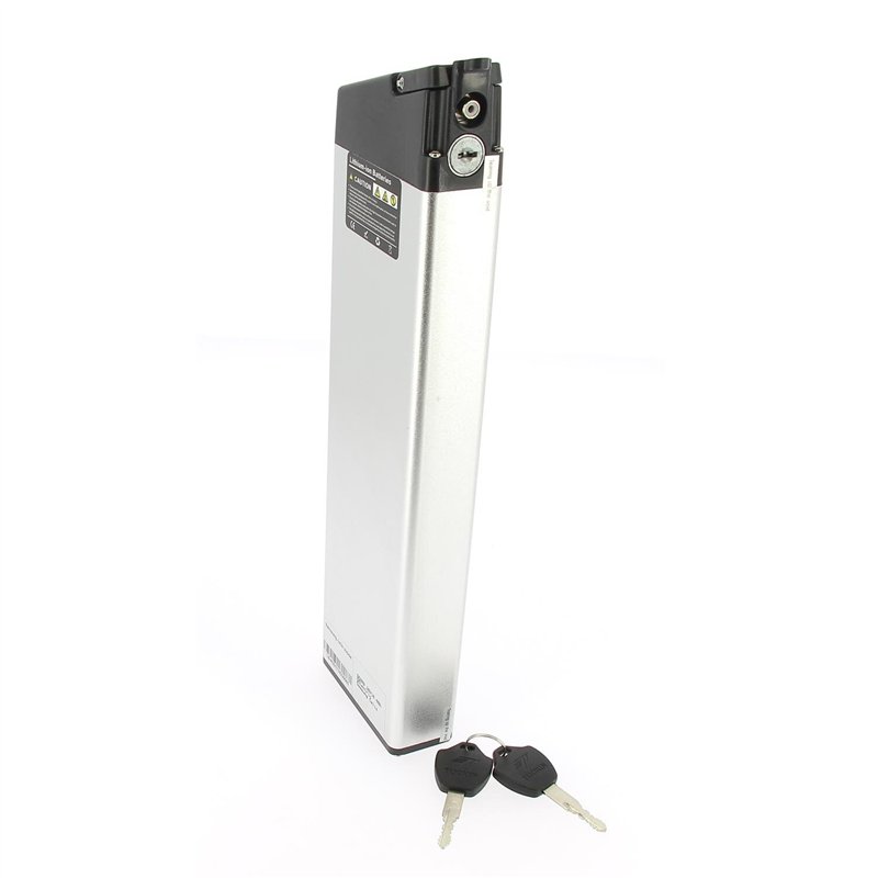 batterie lithium 394960