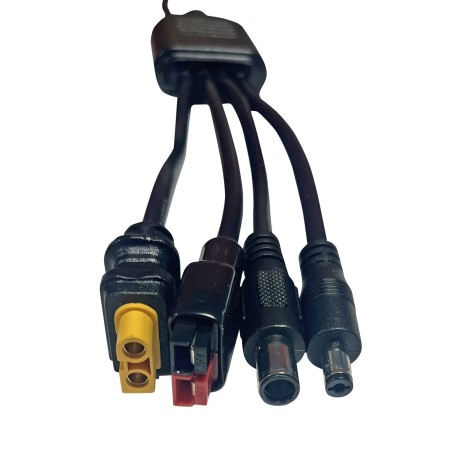Adaptateur universel MC4 - 4 sorties pour n'importe quelle station d'énergie - EZA EZA3700628274711