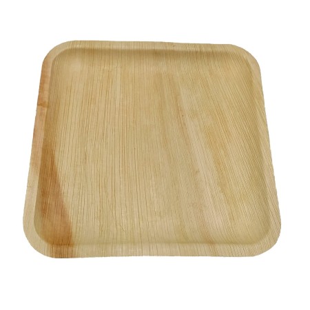 10 assiettes à dîner réutilisables - arecabio 3760241651528