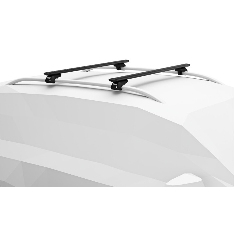pieds pour barre de toit evo raised rail x4 - thule Thule