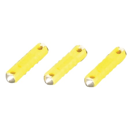 fusibles steatite 25 x 6 mm 10 ampères 3660343101108