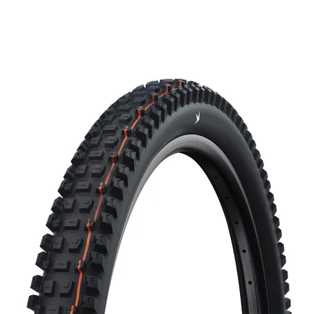 Pneu VTT tubeless 29 pouces Albert Gravity Pro - Adhérence extrême descente engagée - SCHWALBE
