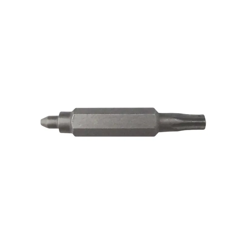 Broche de rechange double embout vélo - Compatible standard et T8 Torx - JAGWIRE