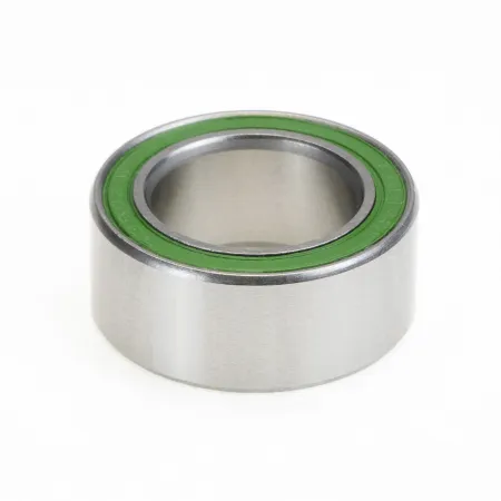 Roulement radial inox double rangée 15x24x10 - Résistance et longévité renforcées - ENDURO BEARINGS