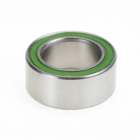 Roulement radial inox double rangée 15x24x10 - Résistance et longévité renforcées - ENDURO BEARINGS