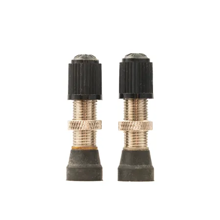 Paire de valves tubeless Schrader universelles - Base 10mm compatible large - STANS