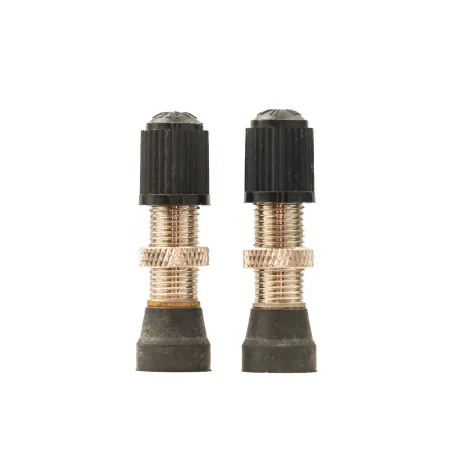 Paire de valves tubeless Schrader universelles - Base 10mm compatible large - STANS
