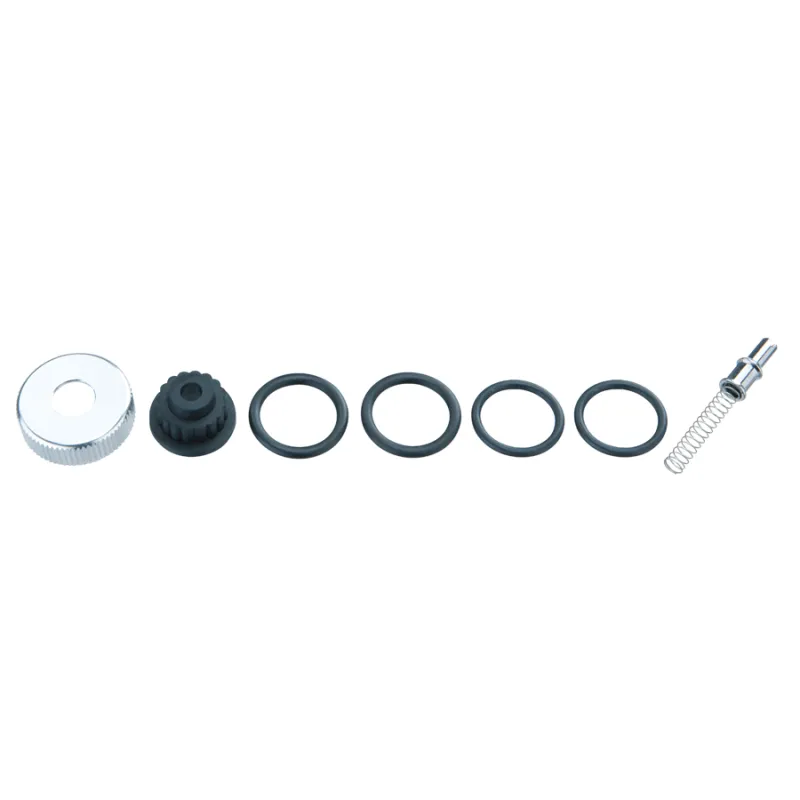 Kit de pièces détachées pour mini-pompe - Compatible modèle Mini DX - TOPEAK