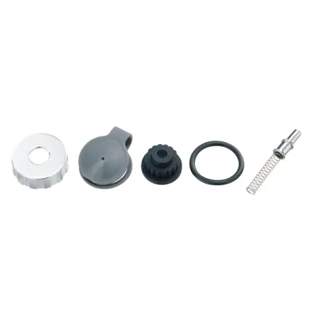 Kit de pièces détachées pour mini-pompe - Compatible modèle Peak DX II - TOPEAK