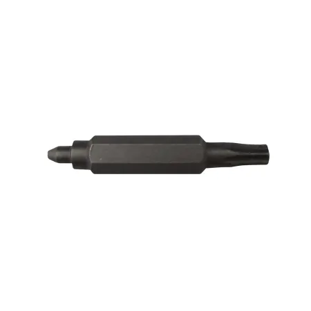 Broche de rechange double embout vélo - Compatible standard et T10 Torx - JAGWIRE