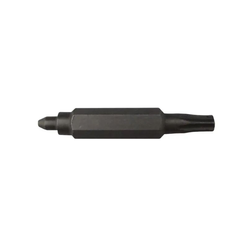 Broche de rechange double embout vélo - Compatible standard et T10 Torx - JAGWIRE