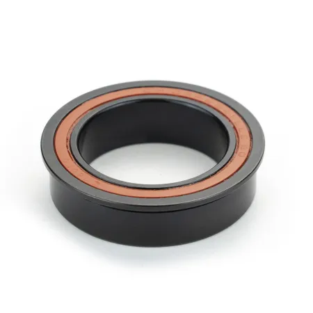 Roulement double rangée céramique hybride - Anti-corrosion et grande robustesse - ENDURO BEARINGS
