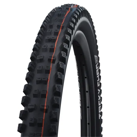Pneu VTT tubeless 29 pouces Tacky Chan Gravity Pro - Adhérence renforcée descente - SCHWALBE