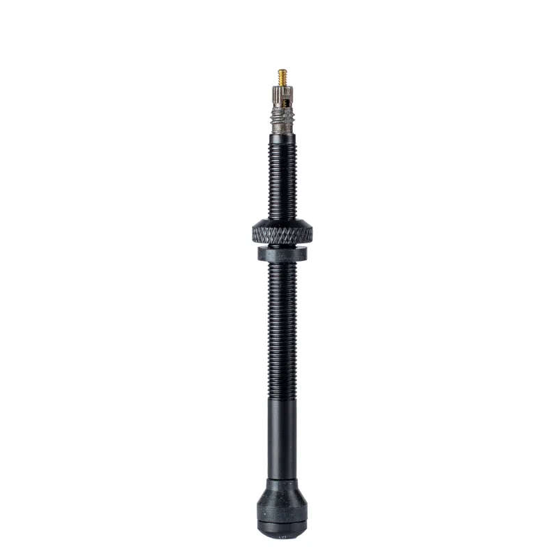 Valves tubeless vélo 80mm (x2) - Compatible montage sans chambre à air - SCHWALBE