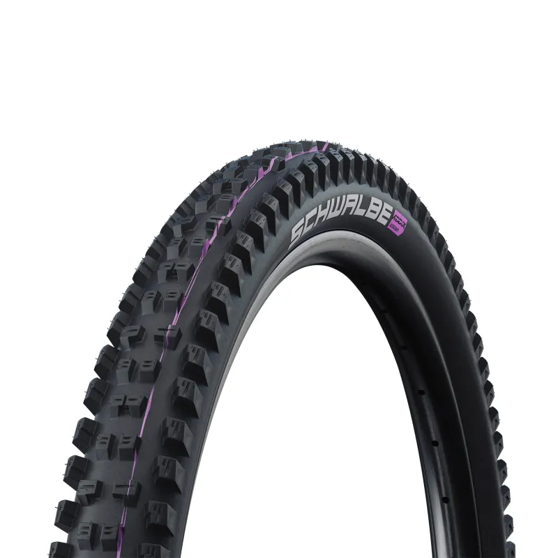 Pneu VTT tubeless 29 pouces Tacky Chan Ground - Grip extrême terrain sec - SCHWALBE