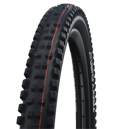 Pneu VTT tubeless 29 pouces Tacky Chan - Adhérence renforcée trail - SCHWALBE