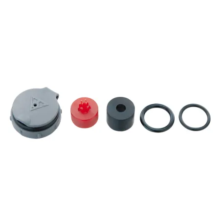 Kit de pièces détachées pour mini-pompe - Compatible modèle Mini - TOPEAK