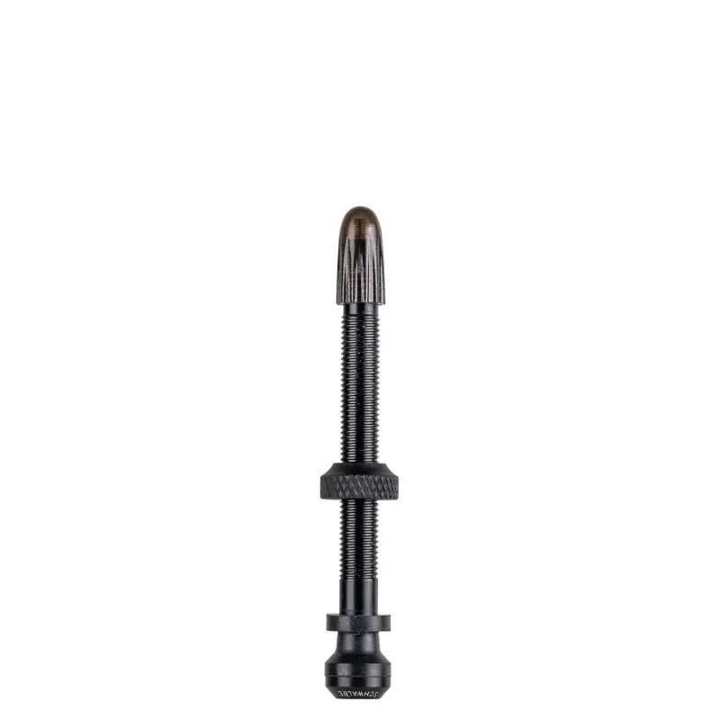 Valves tubeless vélo 60mm (x2) - Compatible montage sans chambre à air - SCHWALBE