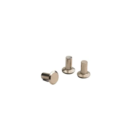 Rivets pleins 8,75mm pour selle vélo (x3) - Compatibilité multi-modèles Brooks - BROOKS