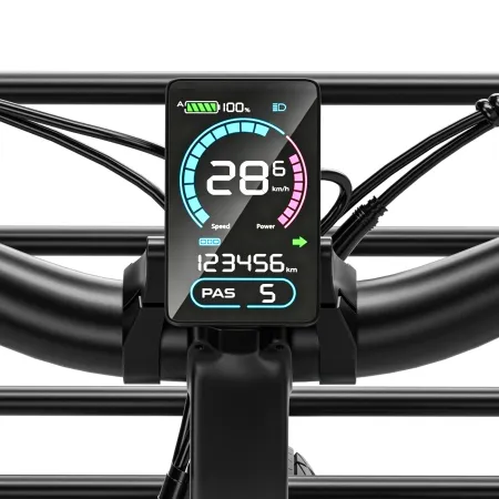 Vélo électrique Eletronbike OC26 Vert 26" | Capteur de couple & 130 km