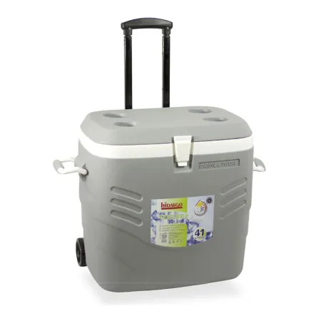 Réfrigérateur Rigide Hidalgo 41L Gris - Glacière Premium