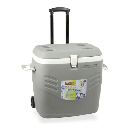 Réfrigérateur Rigide Hidalgo 41L Gris - Glacière Premium